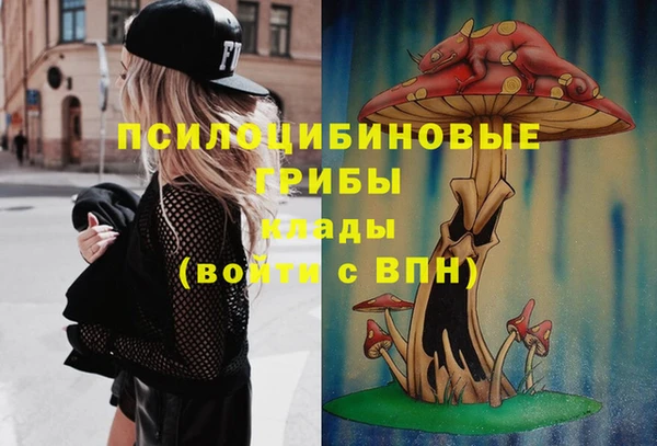 бошки Алзамай