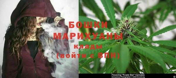 бошки Алзамай