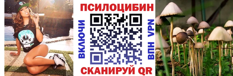Галлюциногенные грибы Psilocybe  Рудня 