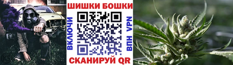 Бошки марихуана сатива  купить   мега зеркало  Рудня 